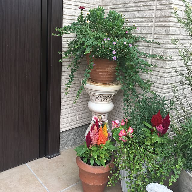 vol.1143写真