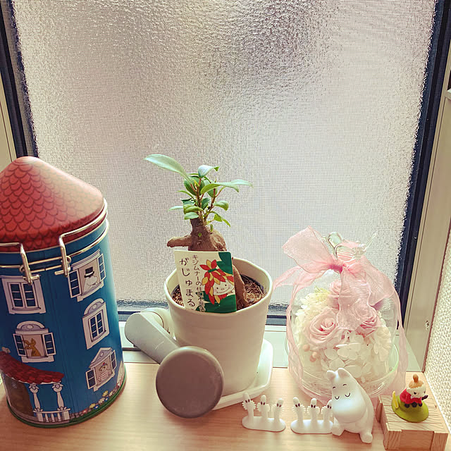 maki4050さんの実例写真