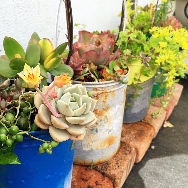 hamtaさんの実例写真
