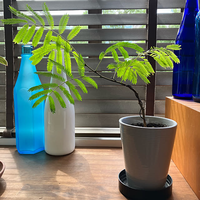 kan2さんの部屋
