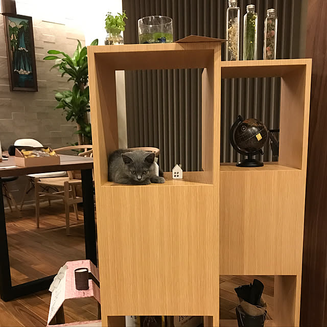 Sachiさんの実例写真