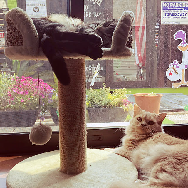 r.t.mamaさんの実例写真