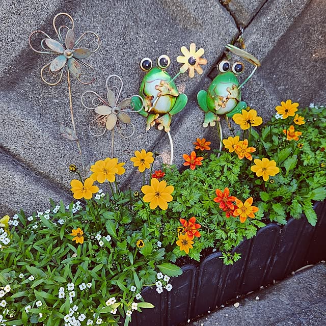 mocomocoさんの部屋