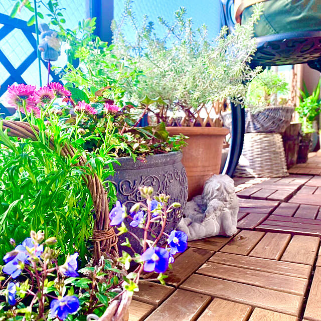naokoさんの実例写真