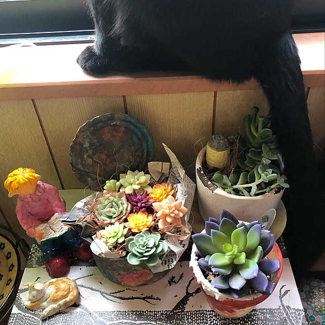jijiさんの実例写真