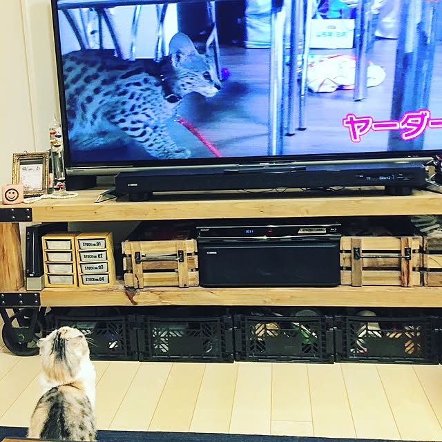 yokkochanさんの実例写真