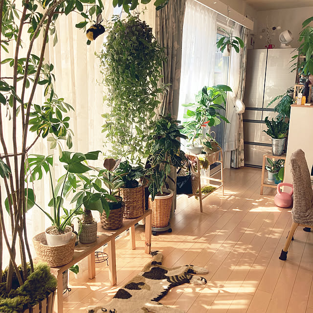 Nさんの部屋