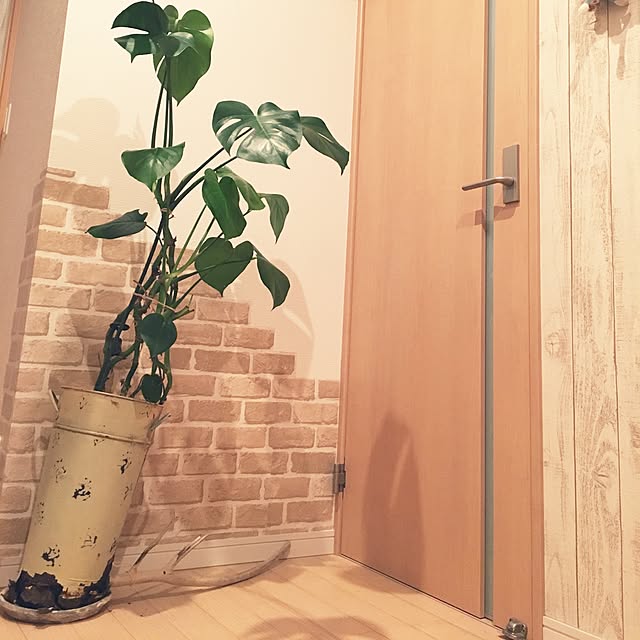 tomoさんの実例写真