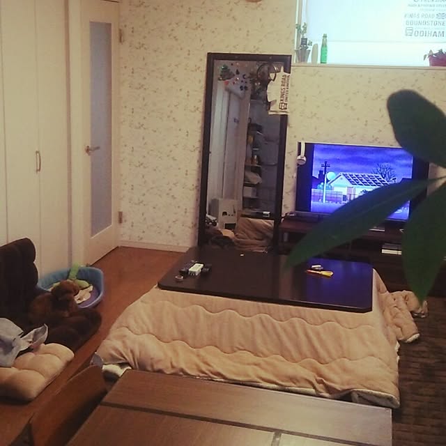 rockさんの実例写真