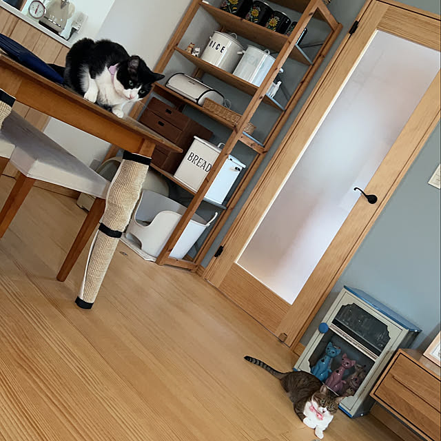 haruさんの実例写真