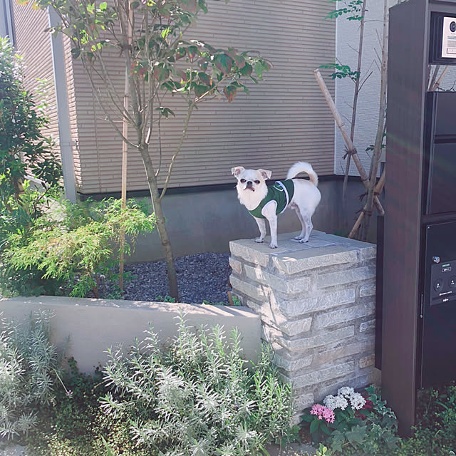 Emiさんの実例写真