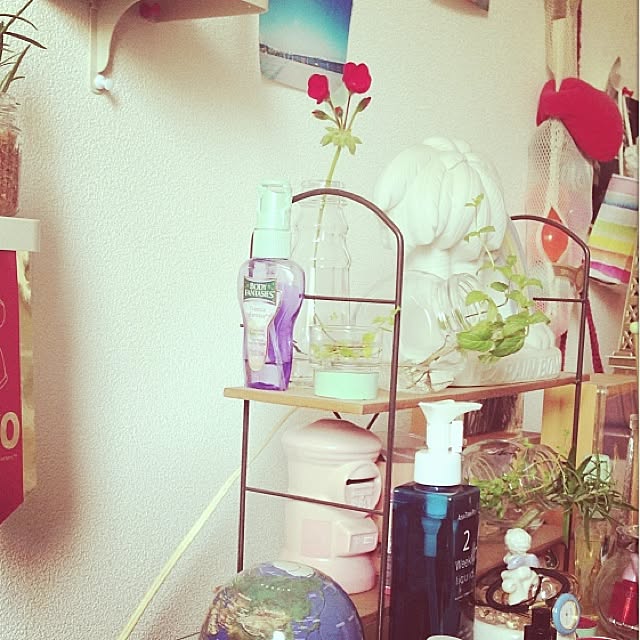 plastic.p.p.asさんの実例写真