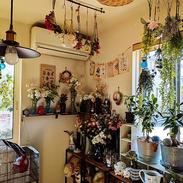 umeboshicyanさんの実例写真