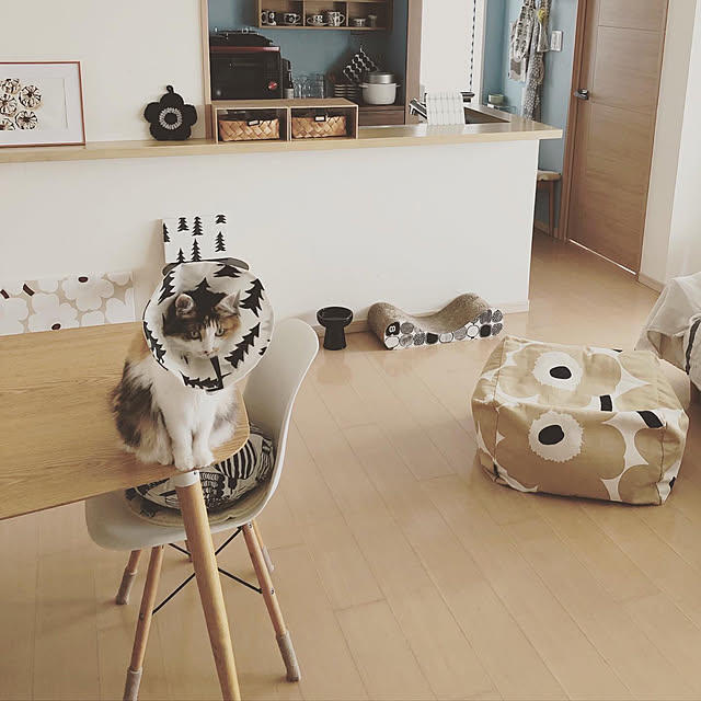 sumosarozaさんの実例写真