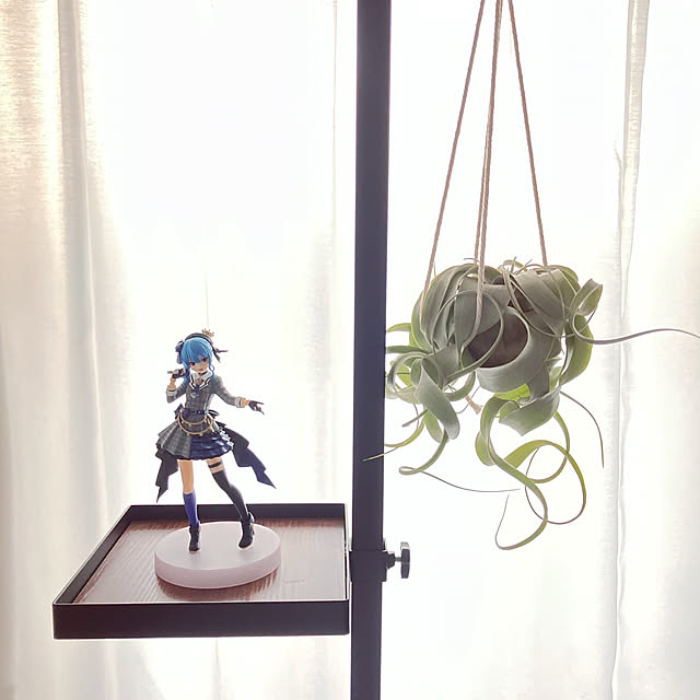 torina_kさんの実例写真