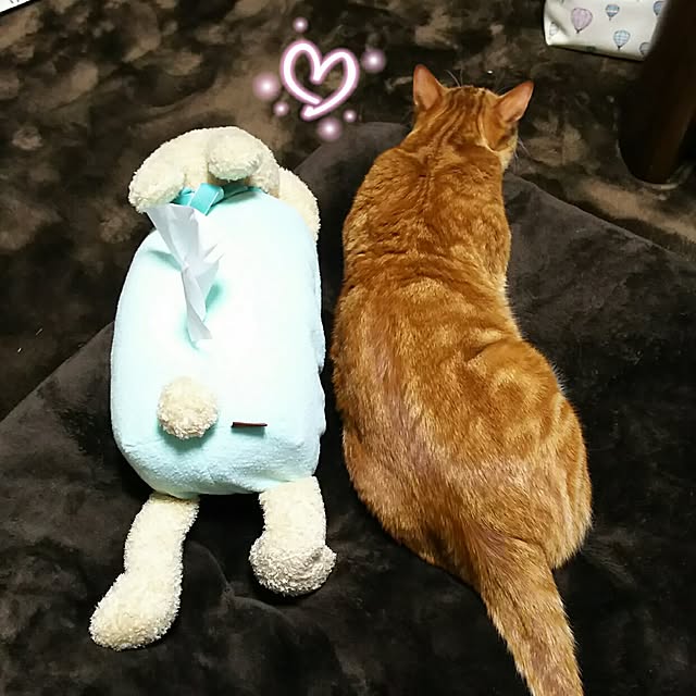 Borikoさんの実例写真