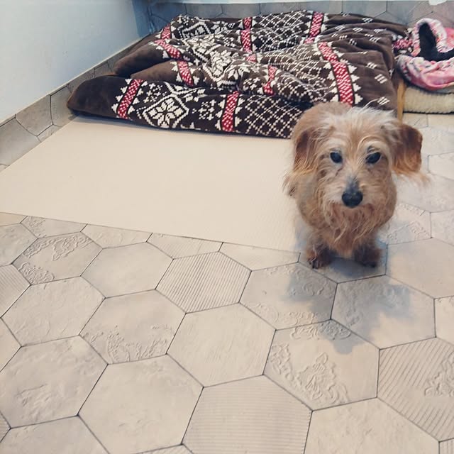 chocococoaさんの実例写真