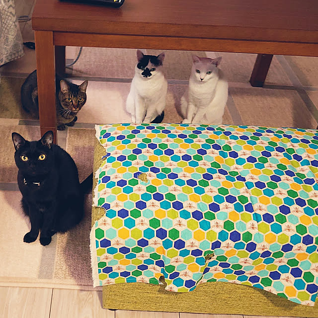 Stainさんの実例写真