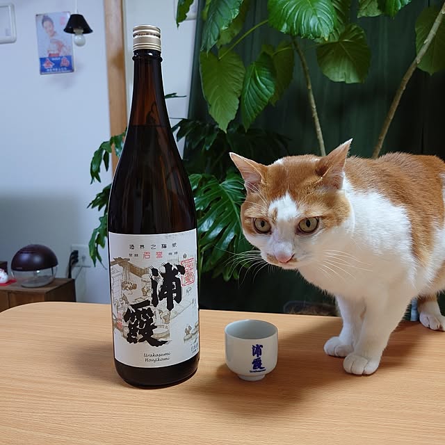mugi77327732さんの実例写真
