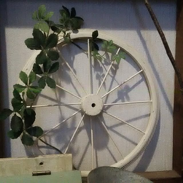 Kumiさんの実例写真
