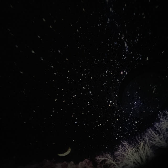 ベッド周り/快眠のインテリア実例 - 2023-10-12 23:09:58