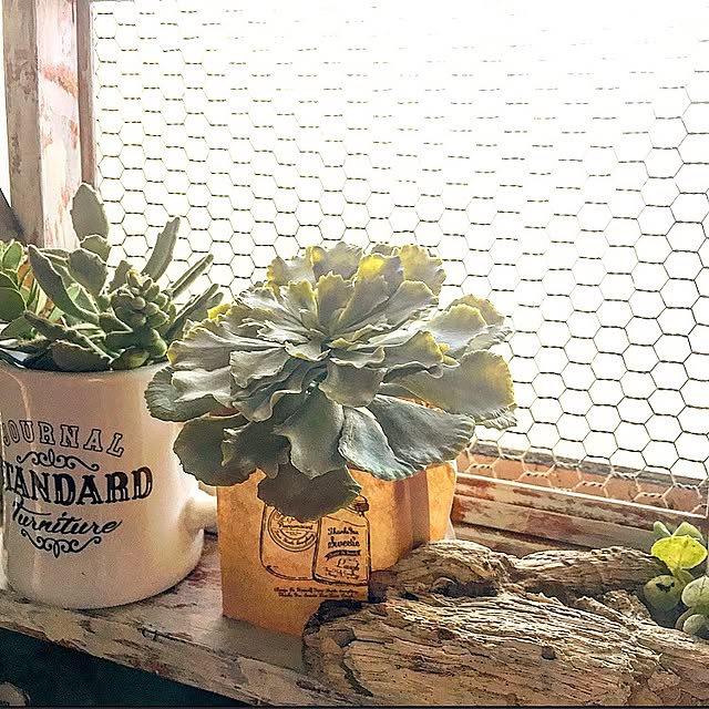 edenさんの実例写真