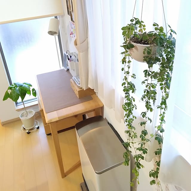机/シュガーバイン/ハンギング/KINTO/観葉植物...などのインテリア実例 - 2023-05-12 21:54:31