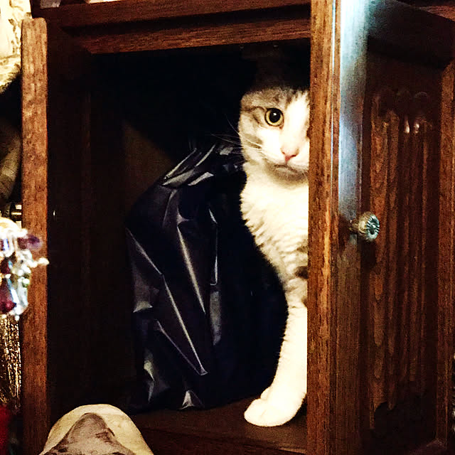 emmyyさんの実例写真