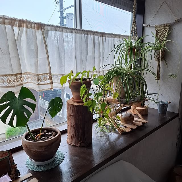 midoriさんの部屋