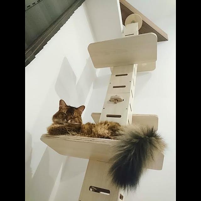 malmさんの実例写真
