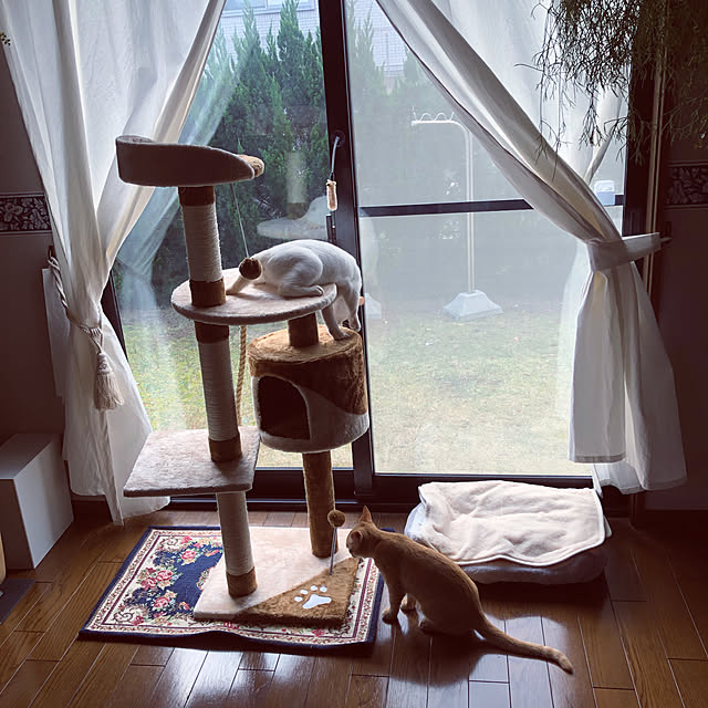 himetanさんの実例写真