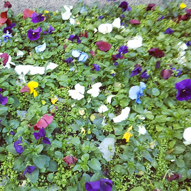 kiraさんの実例写真