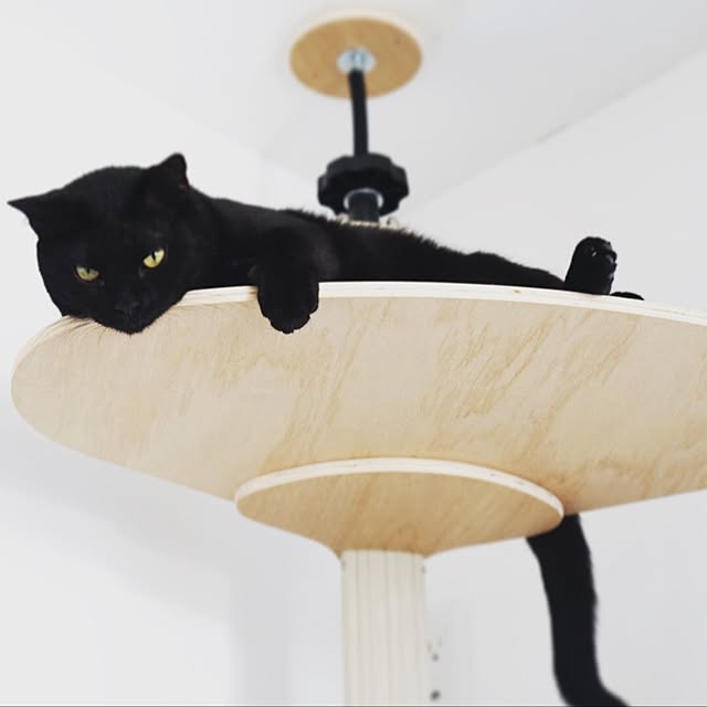 maguandaiさんの実例写真