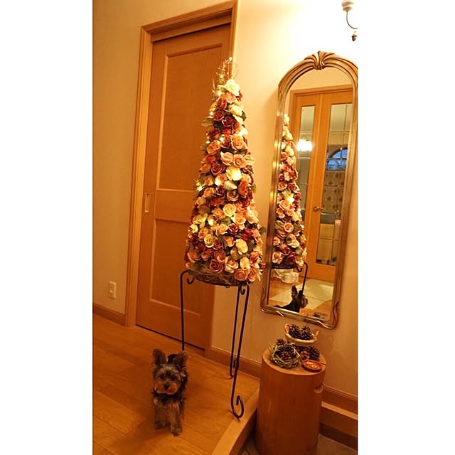 maicaさんの実例写真