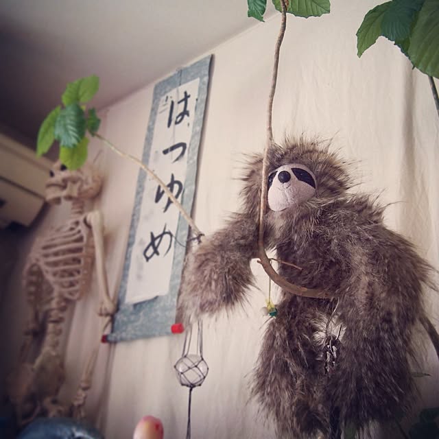 Mayumiさんの実例写真