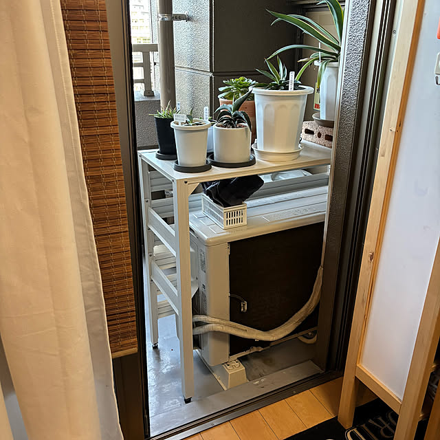koshiregutyoさんの部屋