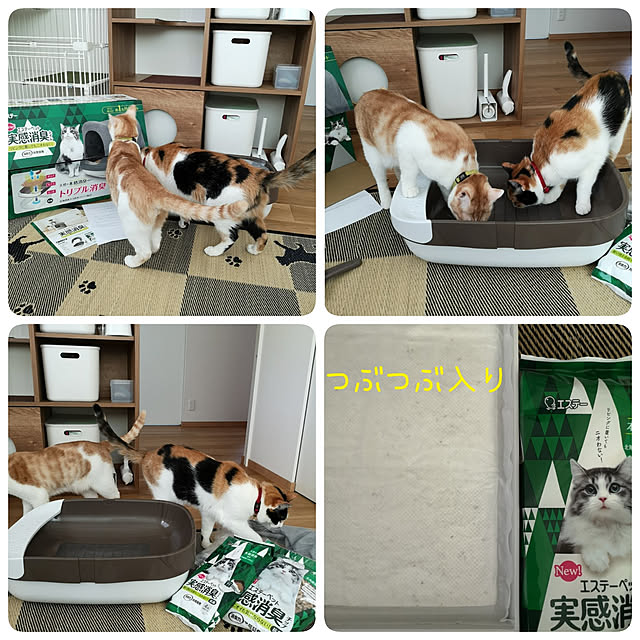 koyurizuさんの実例写真