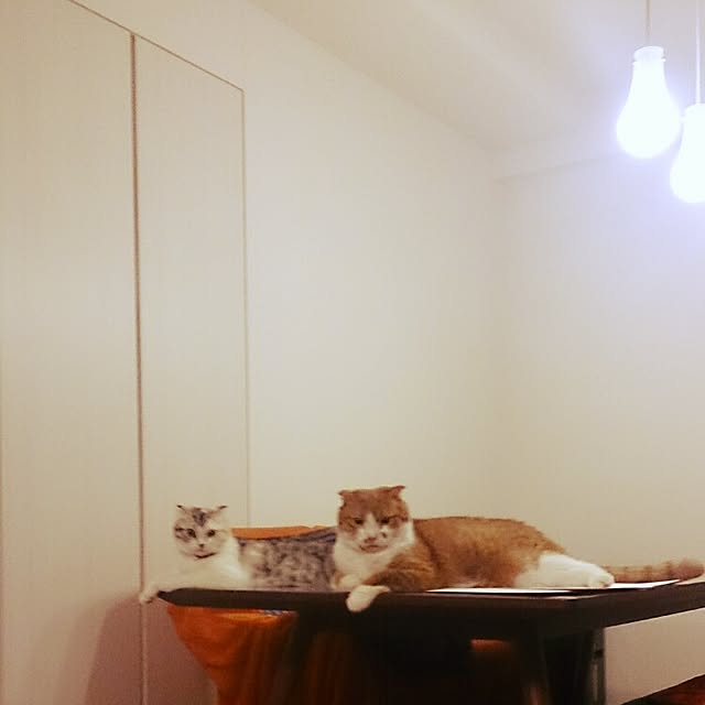 Sachiさんの実例写真