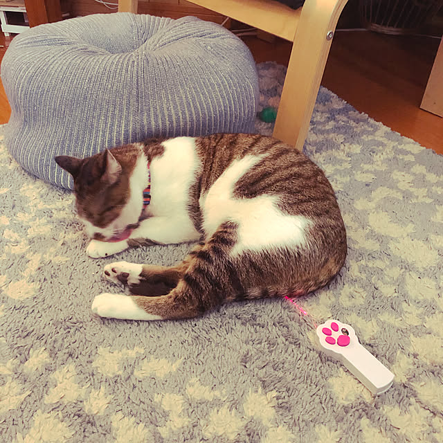 jijiさんの実例写真