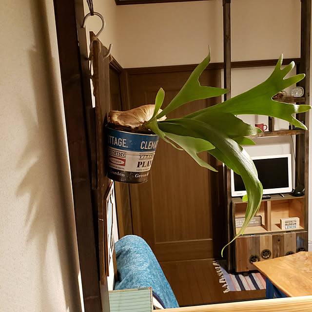 oceanflatさんの実例写真
