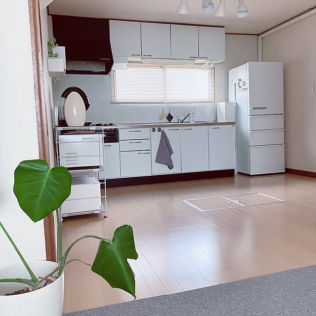 my_homeの銀座夢時-ルボナリエ ペーパータオル ホルダー 壁掛け キッチンペーパー 収納 ティシュペーパー ティッシュ 壁掛け ハンガー キャビネット 吊り下げ ラック 台所 (ホワイト)の家具・インテリア写真