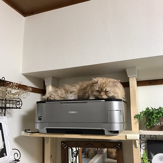 roseさんの実例写真