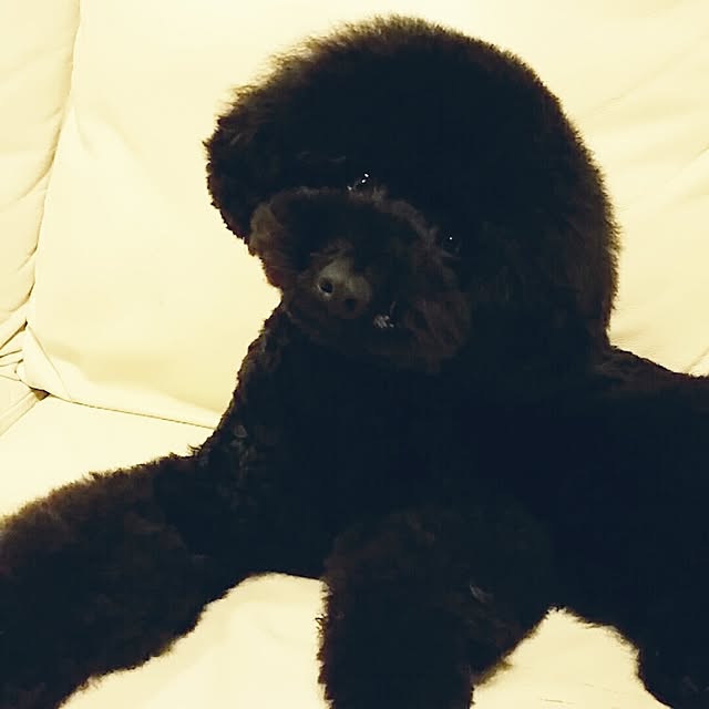 tomoppさんの実例写真