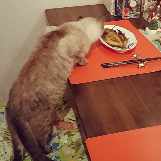 bonobono54さんの実例写真