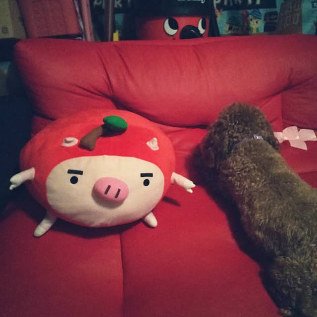 cherrycherryさんの実例写真