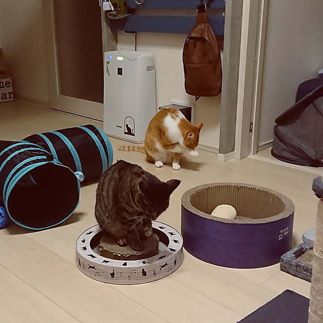 taka-kiさんの実例写真