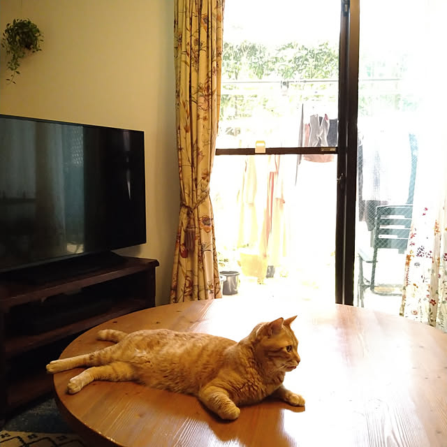 okyosan101さんの実例写真
