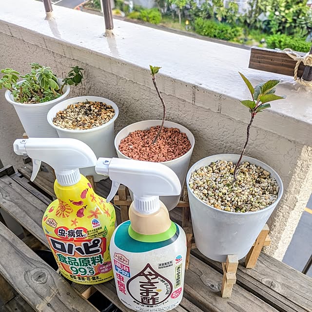 mi-saさんの実例写真