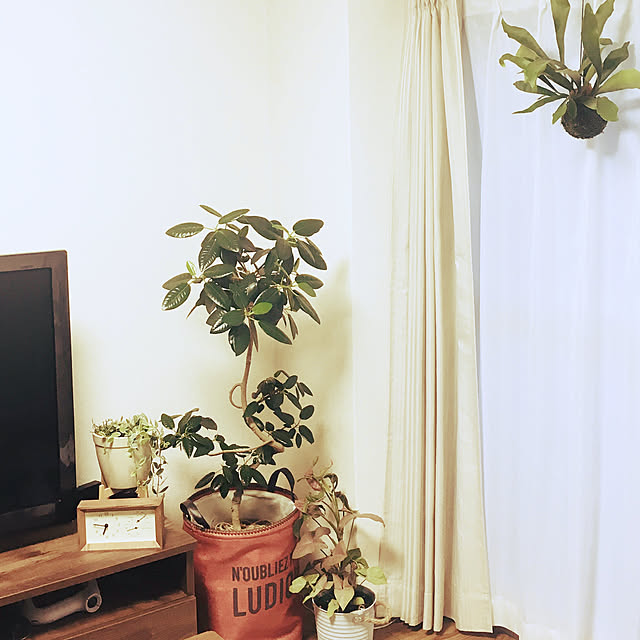guchiv0u0さんの実例写真