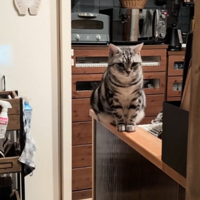 lovepeaceさんの実例写真